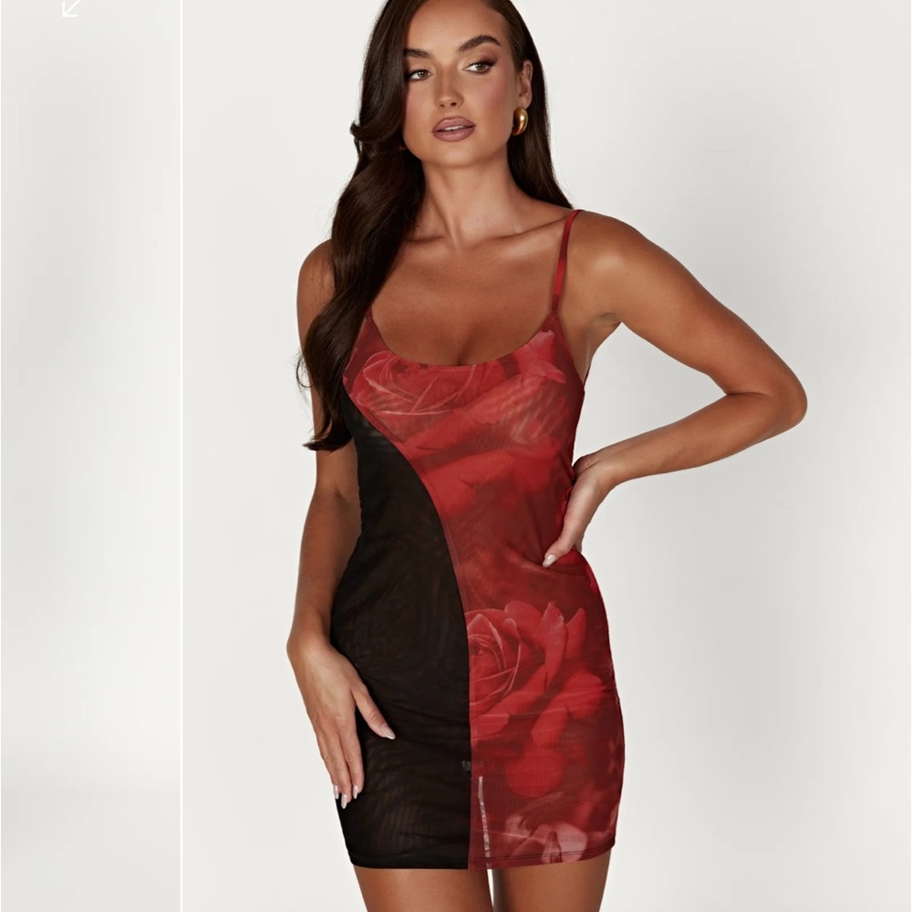 Meshki -Two Tone Mesh Mini Dress